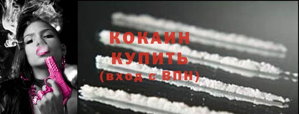 ALPHA PVP Инсар
