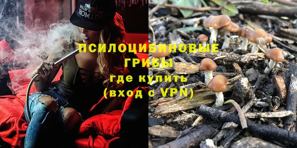 мяу мяу кристалл Инта